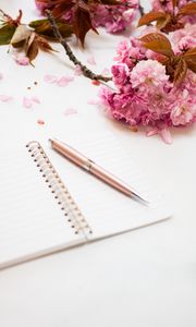 Preview wallpaper pen, notepad, flowers, white, aesthetics