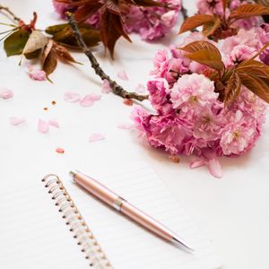 Preview wallpaper pen, notepad, flowers, white, aesthetics