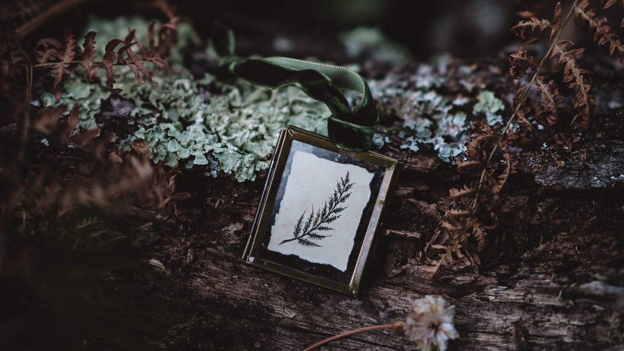 Wallpaper pendant, leaf, adornment, dark