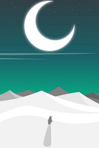 Preview wallpaper penguin, desert, moon, art, vector