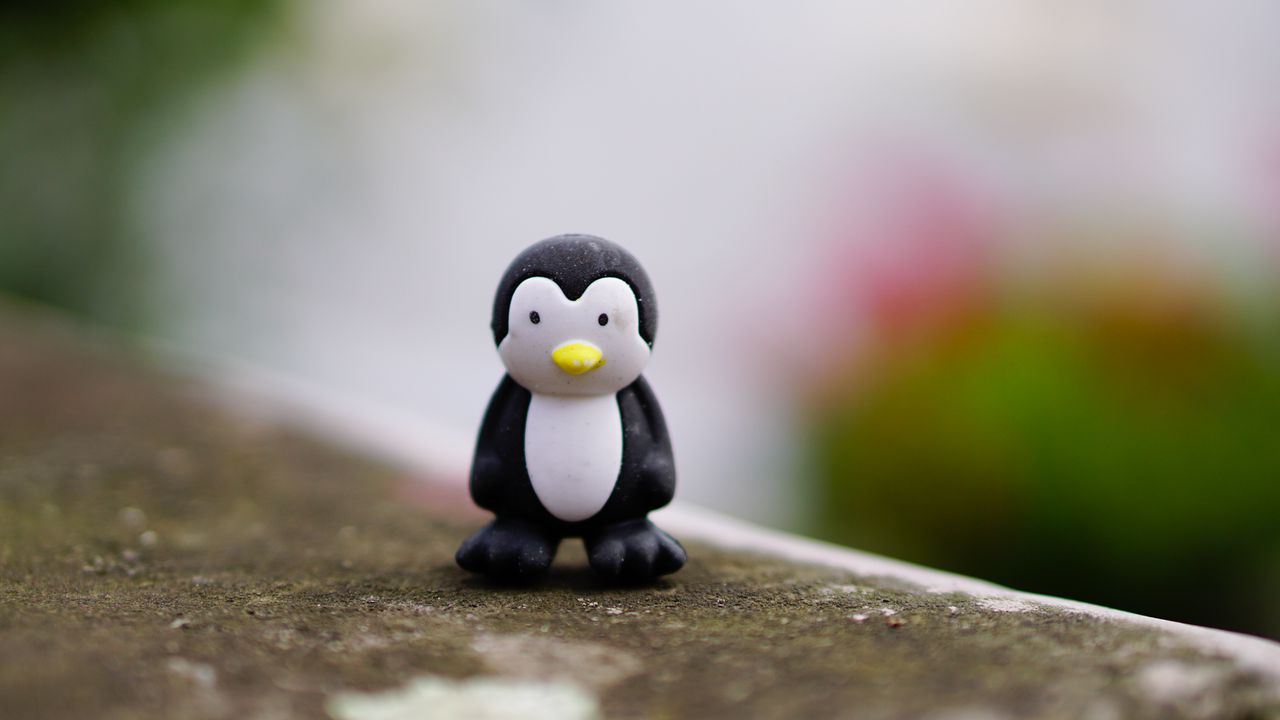 Wallpaper penguin, toy, figurine