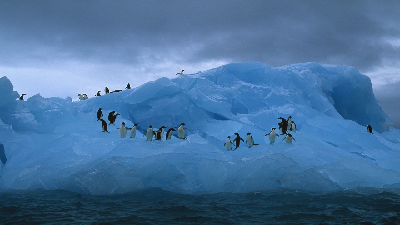 Wallpaper penguins, iceberg, ocean