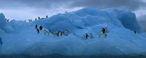 Preview wallpaper penguins, iceberg, ocean