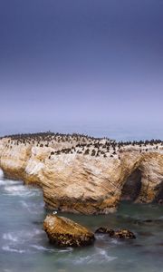 Preview wallpaper penguins, rock, island, sea, wildlife