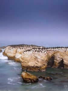 Preview wallpaper penguins, rock, island, sea, wildlife