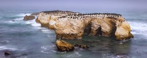 Preview wallpaper penguins, rock, island, sea, wildlife