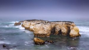 Preview wallpaper penguins, rock, island, sea, wildlife