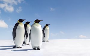 Preview wallpaper penguins, snow, family, walk