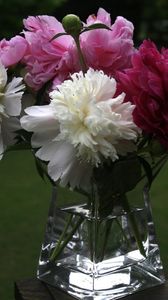 Preview wallpaper peonies, bouquet, vase, close-up