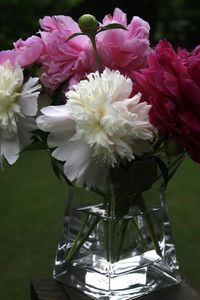 Preview wallpaper peonies, bouquet, vase, close-up
