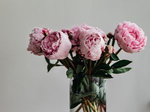 Preview wallpaper peonies, flowers, bouquet, pink, vase