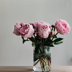 Preview wallpaper peonies, flowers, bouquet, pink, vase