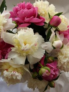 Preview wallpaper peonies, flowers, bouquet, tablecloth, buds