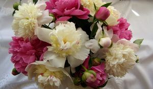 Preview wallpaper peonies, flowers, bouquet, tablecloth, buds