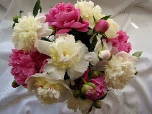 Preview wallpaper peonies, flowers, bouquet, tablecloth, buds