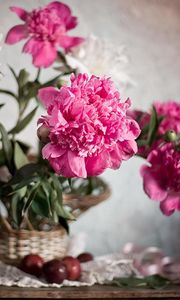 Preview wallpaper peonies, flowers, bouquet, basket, ribbon, blurring