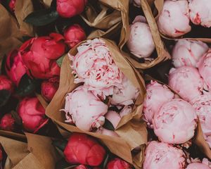 Preview wallpaper peonies, flowers, bouquets, pink, red