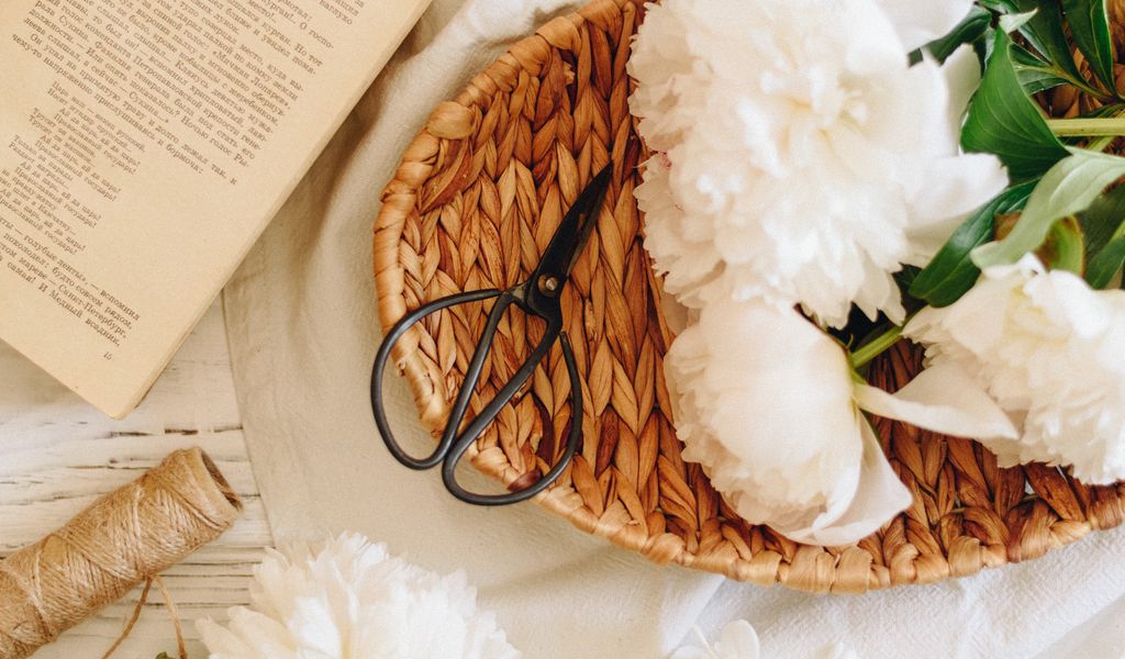 1024x600 Wallpaper peonies, flowers, white, scissors, book, jug
