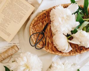 Preview wallpaper peonies, flowers, white, scissors, book, jug