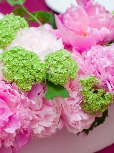 Preview wallpaper peonies, hydrangea, composition, pots