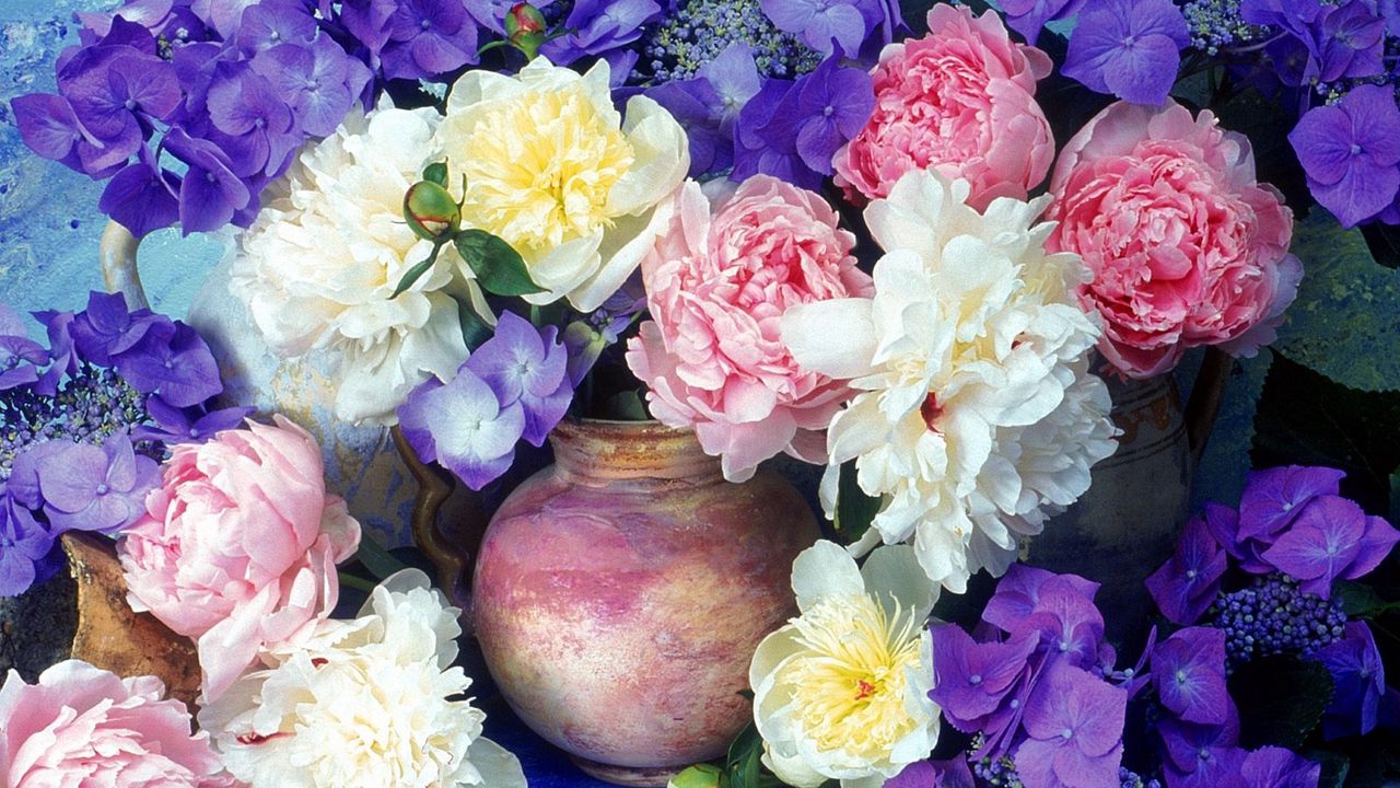 Wallpaper peonies, hydrangea, flowers, painting, jugs, flower, beauty