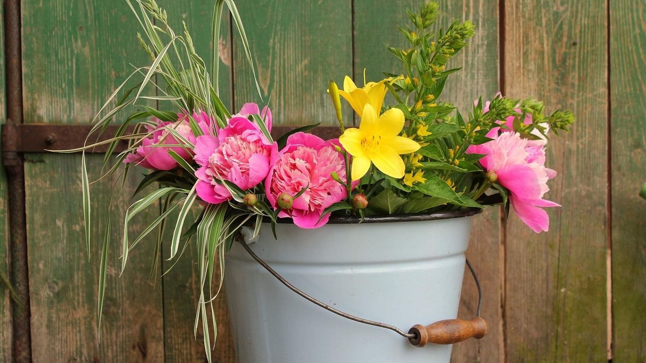 Wallpaper peonies, lilies, flowers, bucket, greens, fence