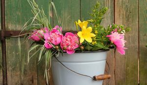 Preview wallpaper peonies, lilies, flowers, bucket, greens, fence