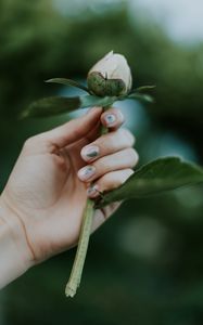 Preview wallpaper peony, bud, hand, flower, plant