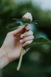 Preview wallpaper peony, bud, hand, flower, plant