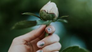 Preview wallpaper peony, bud, hand, flower, plant