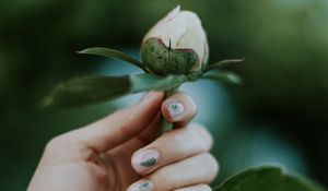 Preview wallpaper peony, bud, hand, flower, plant