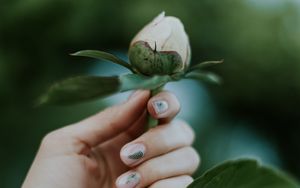 Preview wallpaper peony, bud, hand, flower, plant