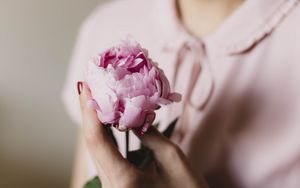 Preview wallpaper peony, flower, hand, tenderness