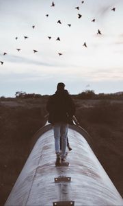 Preview wallpaper people, birds, mood, walk, evening