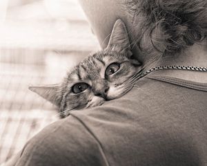 Preview wallpaper people, cat, hugs, affection, black and white