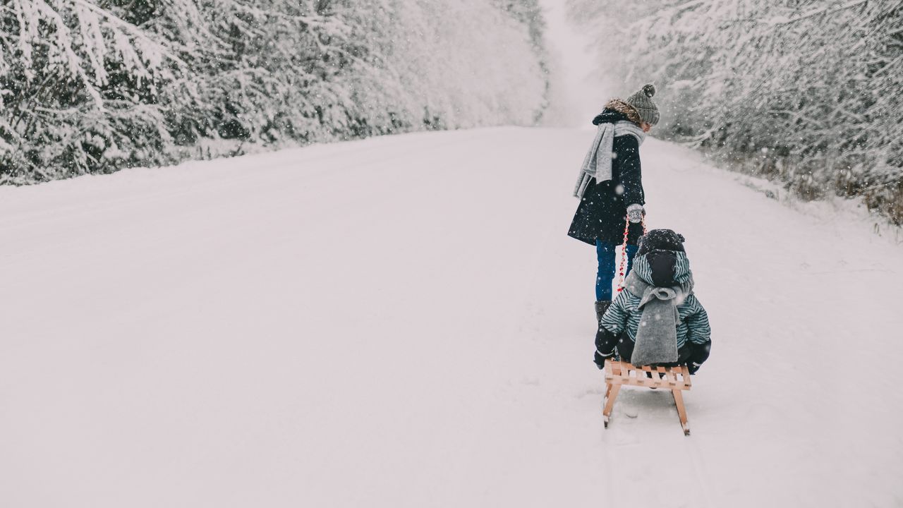 Wallpaper people, sleds, snow, winter, fun