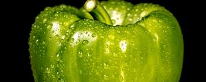 Preview wallpaper pepper, drops, macro, green