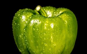 Preview wallpaper pepper, drops, macro, green