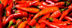 Preview wallpaper pepper, red, vegetable