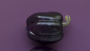Preview wallpaper pepper, vegetable, purple