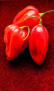 Preview wallpaper peppers, chilli, spicy, red