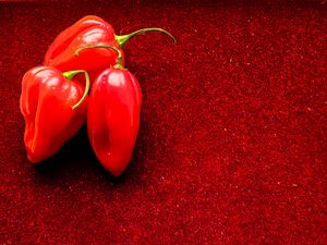Preview wallpaper peppers, chilli, spicy, red