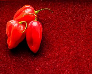 Preview wallpaper peppers, chilli, spicy, red