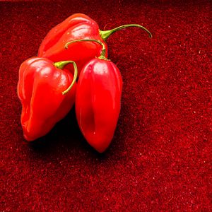 Preview wallpaper peppers, chilli, spicy, red