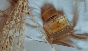 Preview wallpaper perfume, bottle, bouquet, light, aesthetics