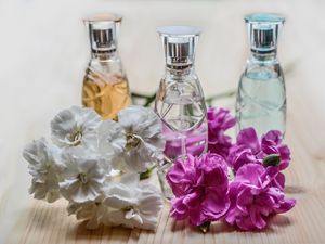 Preview wallpaper perfume, flowers, bottles