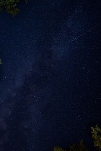 Preview wallpaper perseids, meteors, stars, sky, night