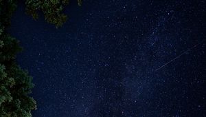 Preview wallpaper perseids, meteors, stars, sky, night