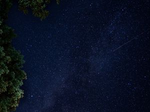 Preview wallpaper perseids, meteors, stars, sky, night