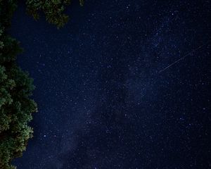 Preview wallpaper perseids, meteors, stars, sky, night